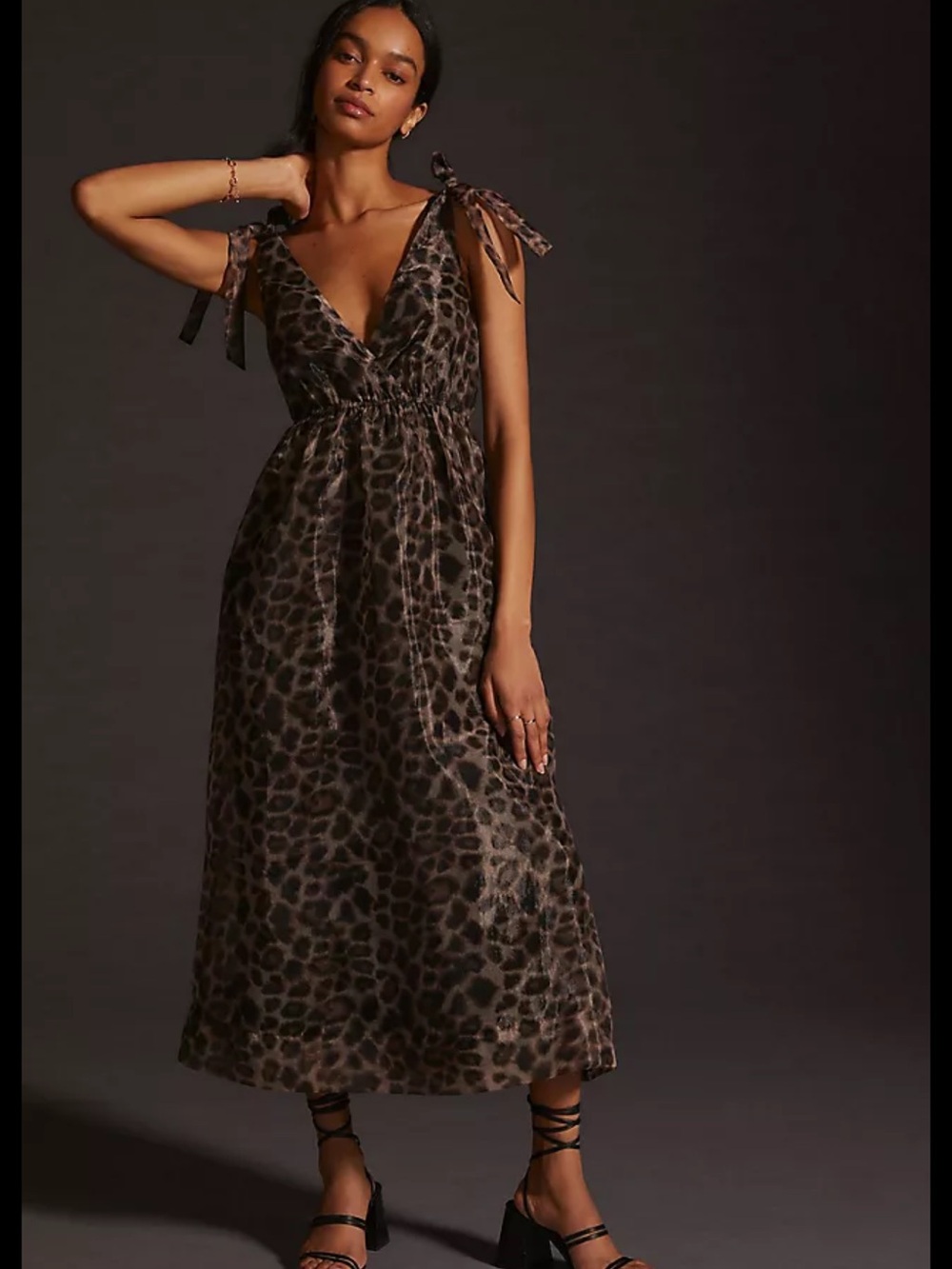 Anthropologie Daniel Rainn Organza Leopard Maxi Dress XS